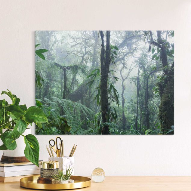 Leinwandbilder Naturmotive Monteverde Nebelwald