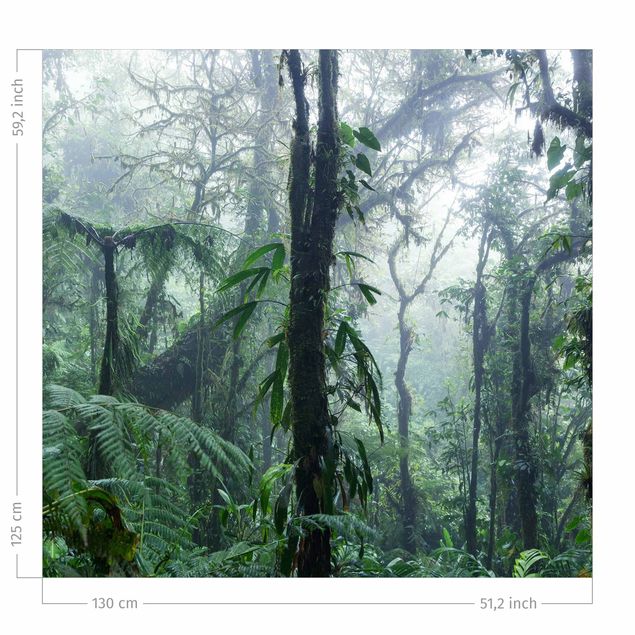 Verdunkelungsvorhang Monteverde Nebelwald