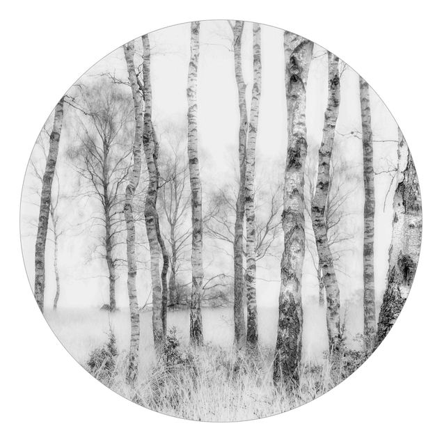 Runde Tapete selbstklebend - Mystischer Birkenwald Schwarz-Weiß