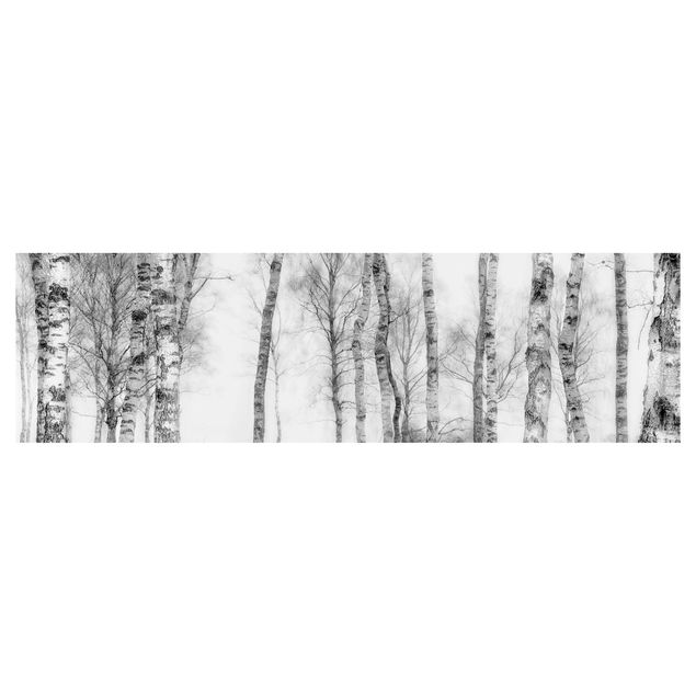 Küchenrückwand - Mystischer Birkenwald Schwarz-weiß