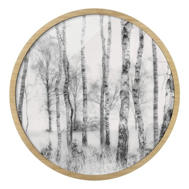 Wandbilder Mystischer Birkenwald Schwarz-Weiß