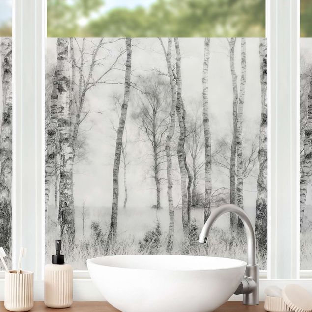 Fensterfolie - Sichtschutz - Mystischer Birkenwald Schwarz-Weiß -  Fensterbilder