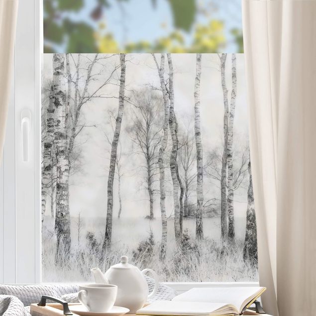 Klebefolie Fenster Mystischer Birkenwald Schwarz-Weiß