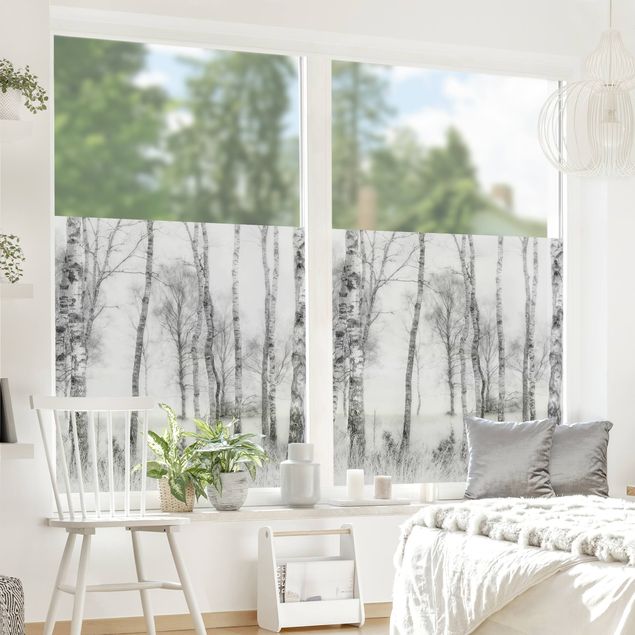 Fensterbilder selbstklebend Mystischer Birkenwald Schwarz-Weiß