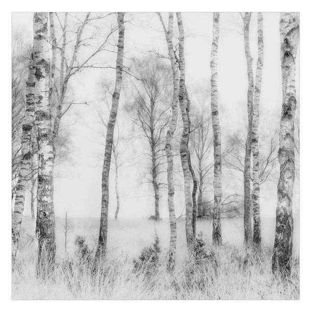 Fensterfolie - Sichtschutz - Mystischer Birkenwald Schwarz-Weiß - Fensterbilder