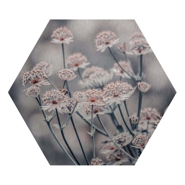 Hexagon Bild Alu-Dibond - Mystischer Blütenstrauch