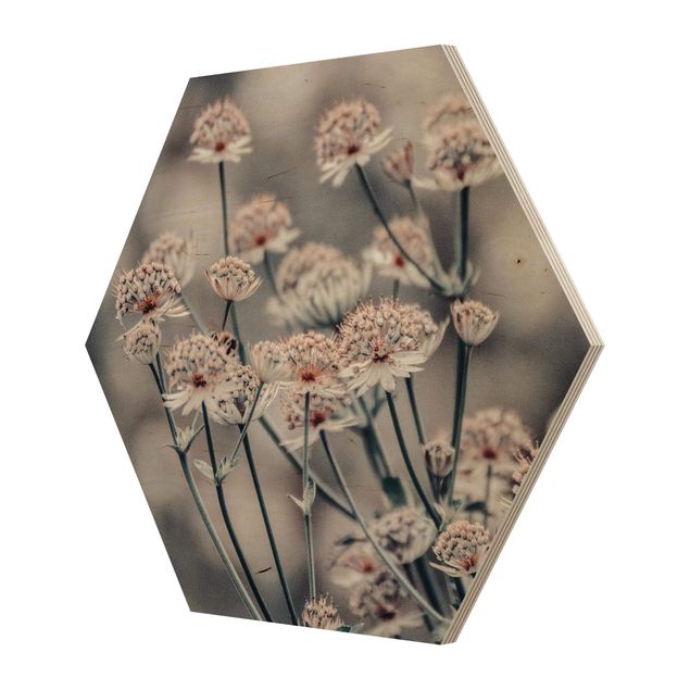 Hexagon Bild Holz - Mystischer Blütenstrauch