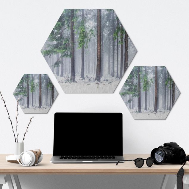 Hexagon Bild Alu-Dibond - Nadelbäume im Winter