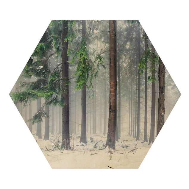 Hexagon Bild Holz - Nadelbäume im Winter