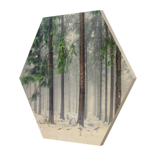 Hexagon Bild Holz - Nadelbäume im Winter