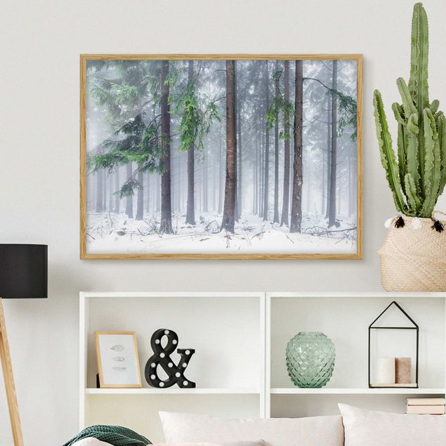 Moderne Bilder mit Rahmen Nadelbäume im Winter