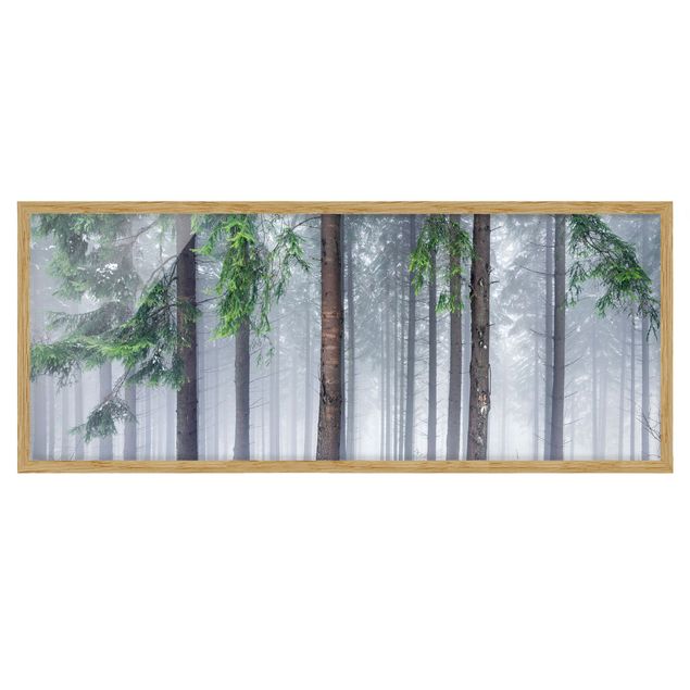 Bilder mit Rahmen Nadelbäume im Winter