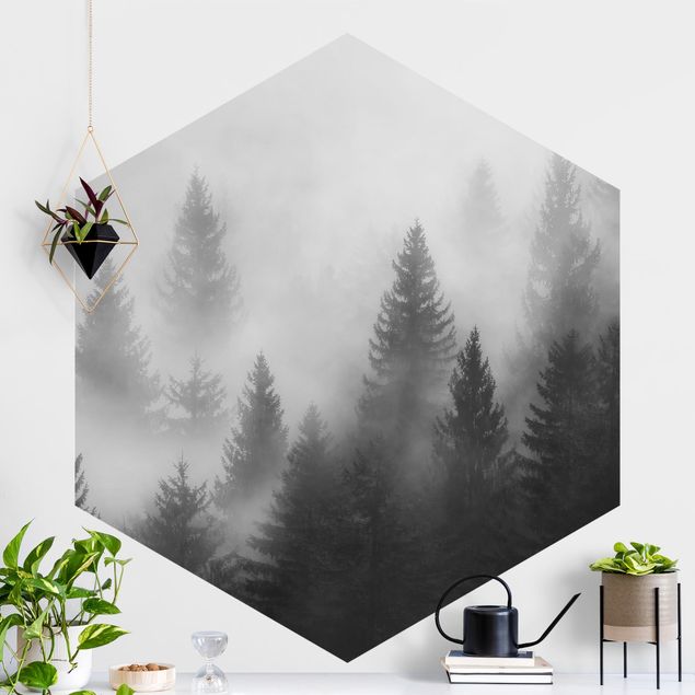 Fototapete Wald Nadelwald im Nebel Schwarz Weiß