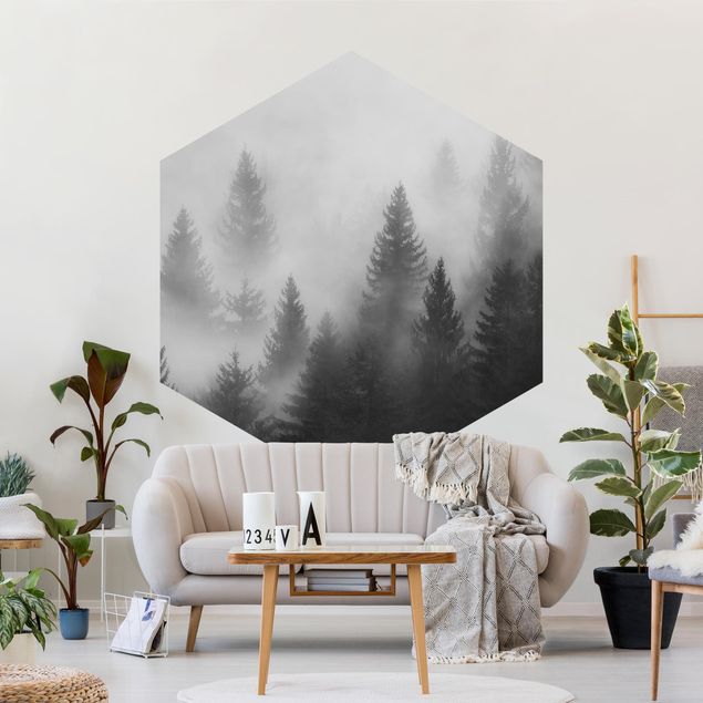 Fototapete Natur Nadelwald im Nebel Schwarz Weiß