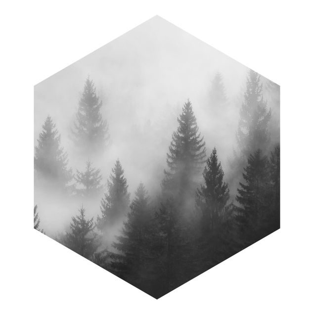 Hexagon Mustertapete selbstklebend - Nadelwald im Nebel Schwarz Weiß