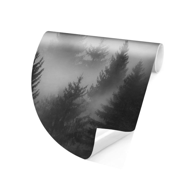 Runde Tapete selbstklebend - Nadelwald im Nebel Schwarz Weiß