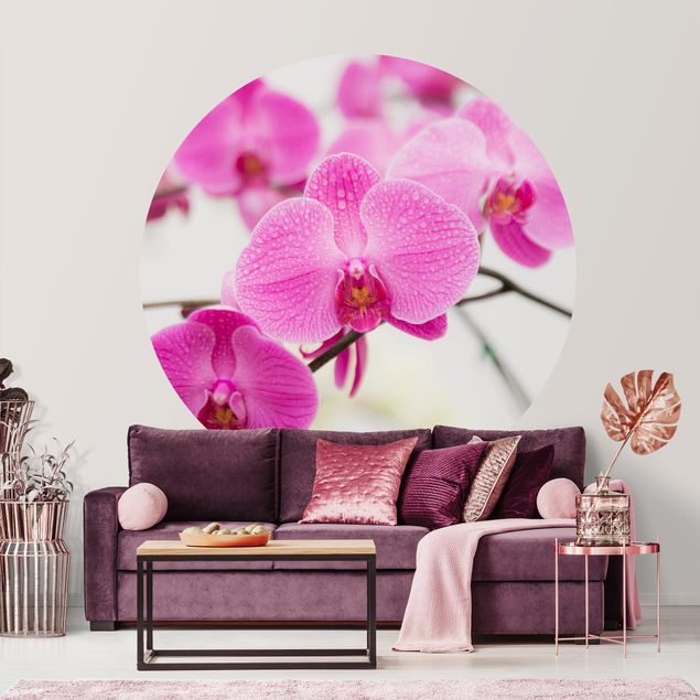 Tapete Blumen Nahaufnahme Orchidee
