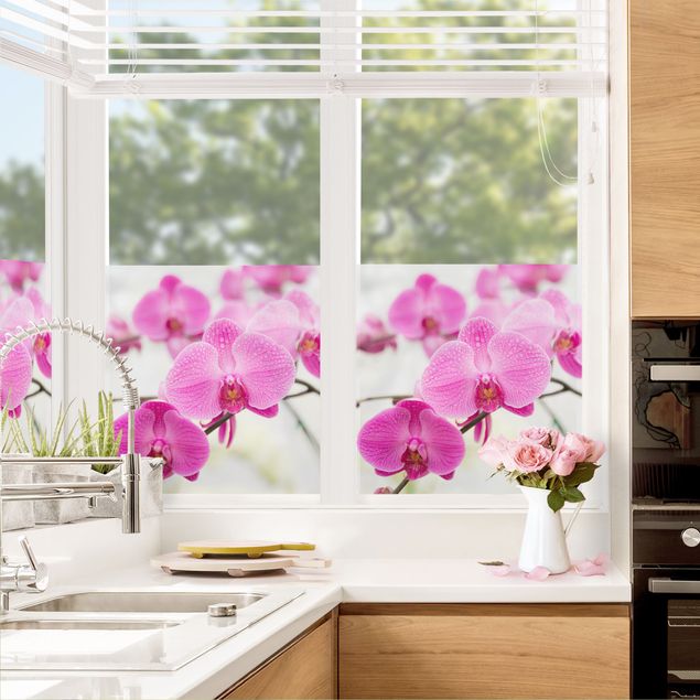 Klebefolie für Fenster Nahaufnahme Orchidee