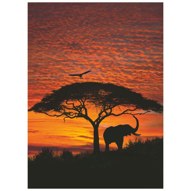 Fototapeten - National Geographic - Afrika Sonnenuntergang