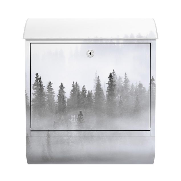 Briefkasten modern Nebel im Tannenwald Schwarz-Weiß