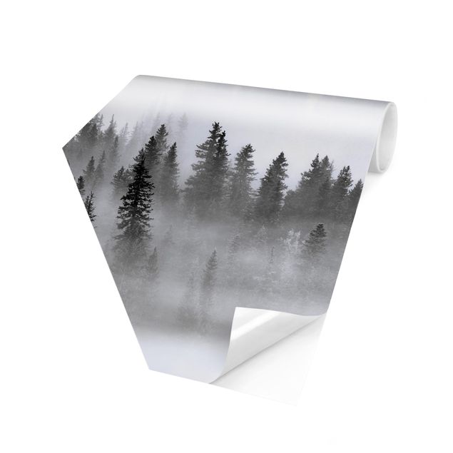 Tapeten Vlies Nebel im Tannenwald Schwarz-Weiß