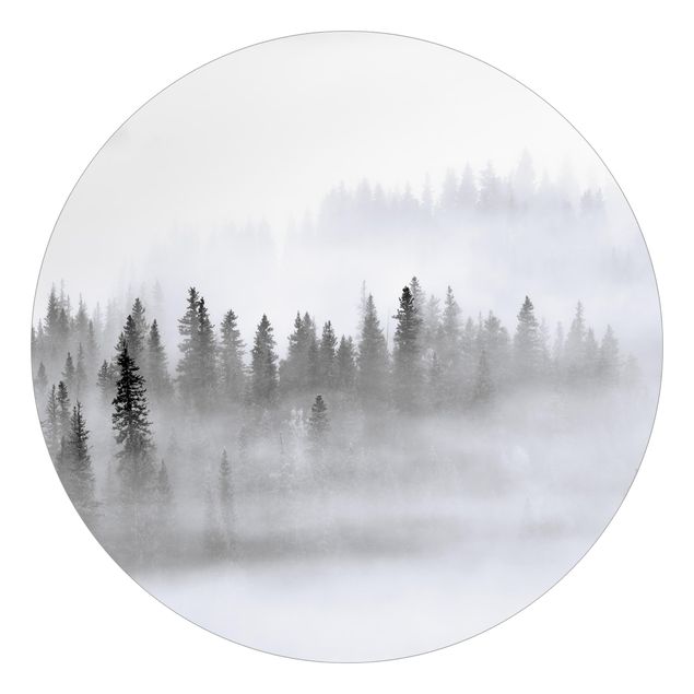Runde Tapete selbstklebend - Nebel im Tannenwald Schwarz-Weiß