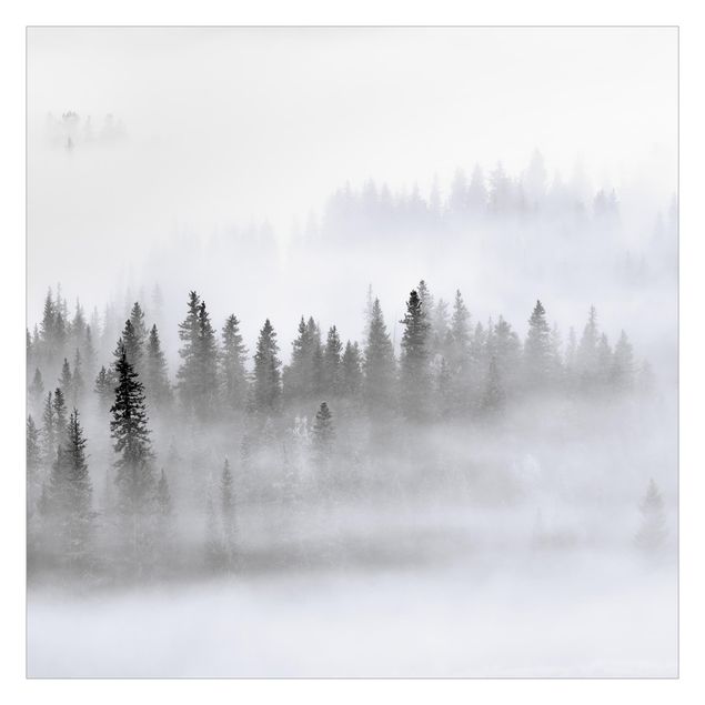 Fototapete - Nebel im Tannenwald Schwarz-Weiß