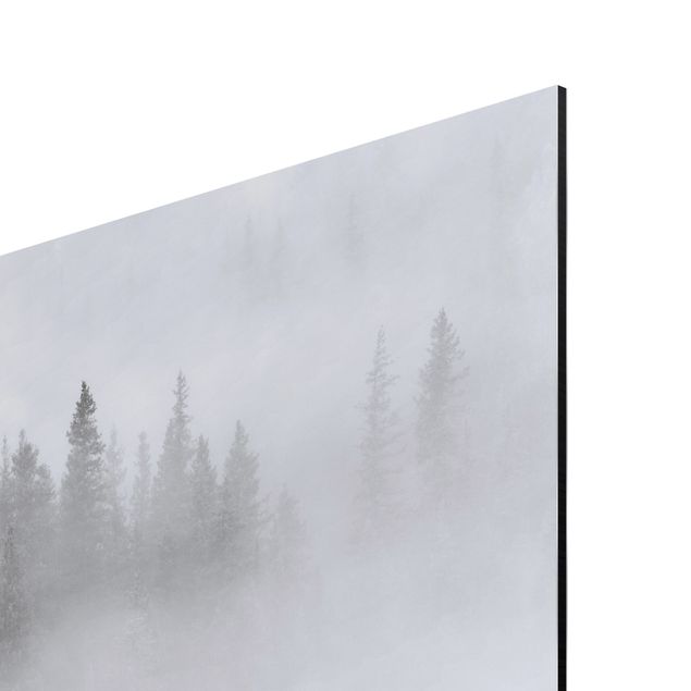 Spritzschutz Küche ohne bohren Nebel im Tannenwald Schwarz-weiß
