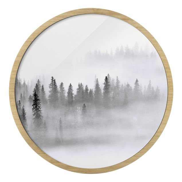 Wandbilder Nebel im Tannenwald Schwarz-Weiß
