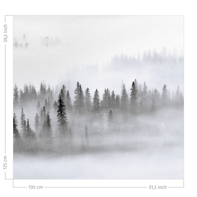 Vorhang Verdunkelung Nebel im Tannenwald Schwarz-Weiß