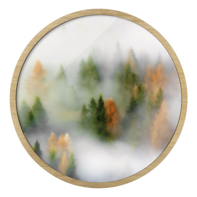 Bilder Nebelwald im Herbst