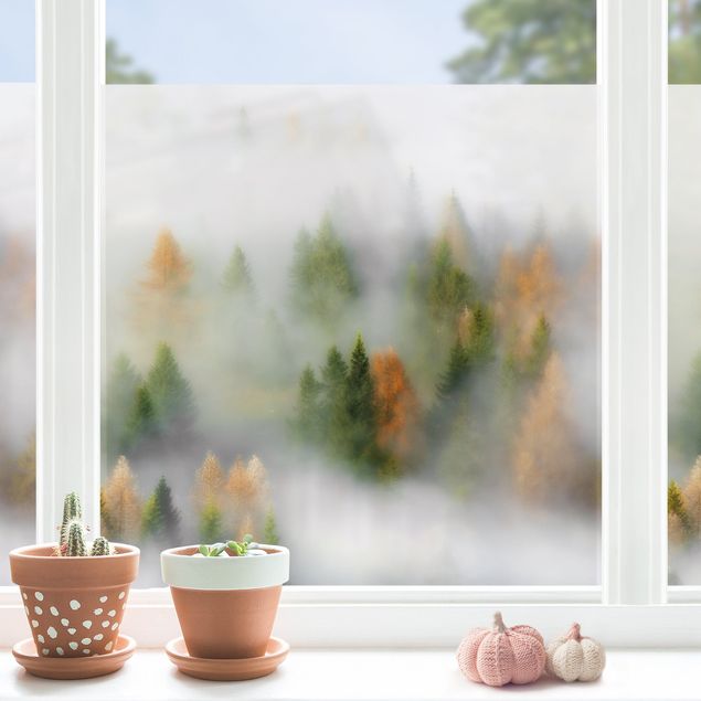 Klebefolie für Fenster Nebelwald im Herbst