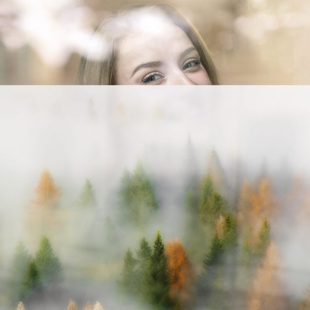 Fensterfolie - Sichtschutz - Nebelwald im Herbst - Fensterbilder