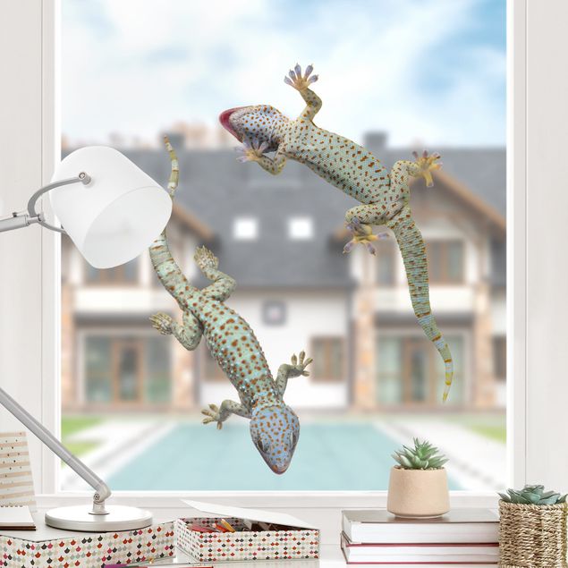 Fensterfolie farbig Neugierige Geckos