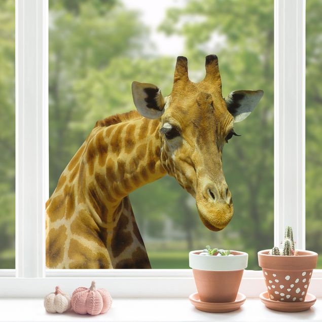 Fensterfolie farbig Neugierige Giraffe