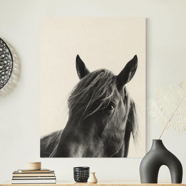 Leinwandbilder Gold Canvas Neugieriges Pferd