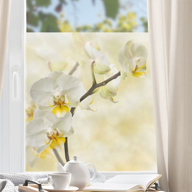 Fensterbilder selbstklebend Blumen Orchideen Zweig