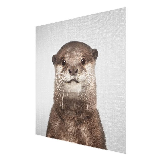 Glasbild - Otter Oswald - Quadrat