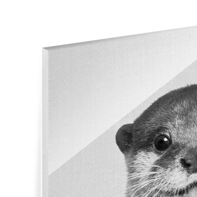 Glasbild - Otter Oswald Schwarz Weiß - Quadrat