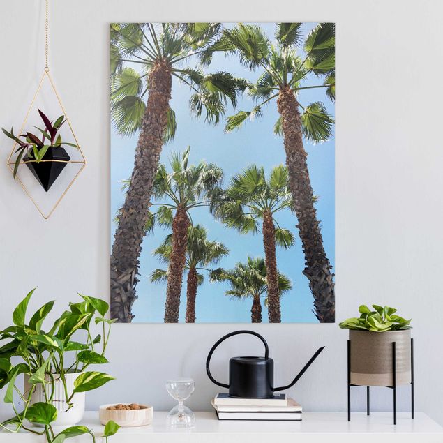 Leinwandbilder Naturmotive Palmen am Venice Beach