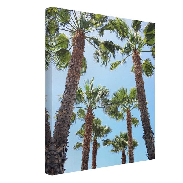 schöne Leinwandbilder Palmen am Venice Beach