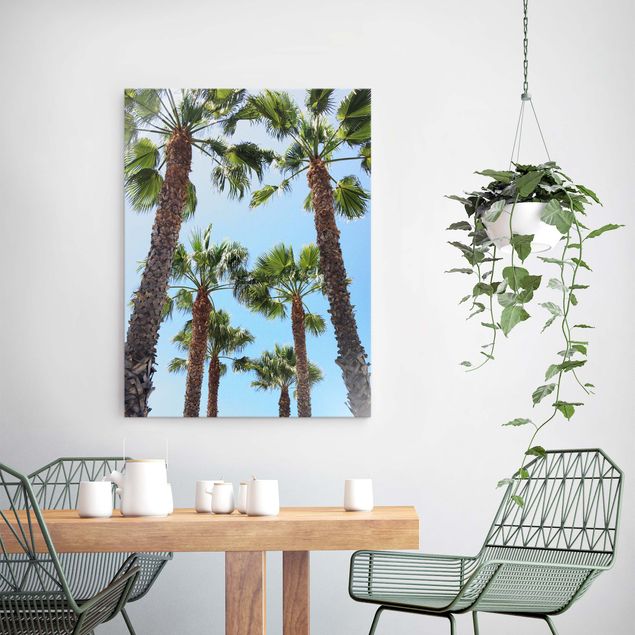 Glasbilder Natur Palmen am Venice Beach