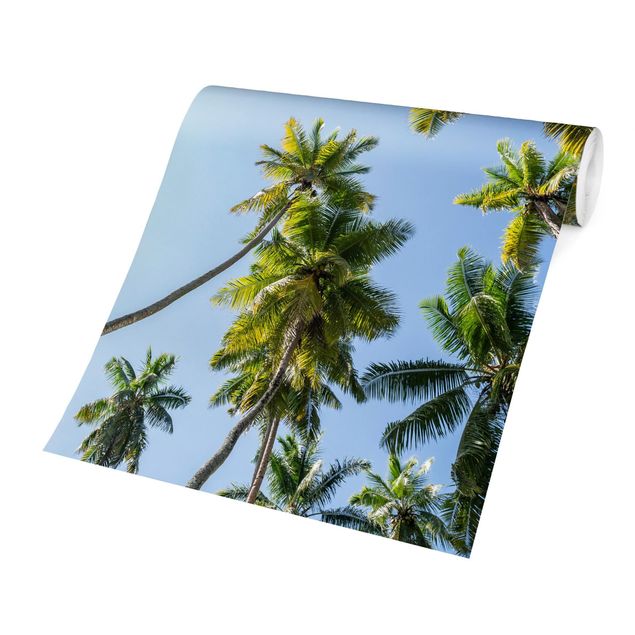 Fototapete selbstklebend Palmen Himmel