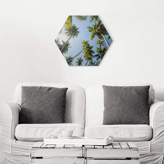 Hexagon Bild Alu-Dibond - Palmen Himmel