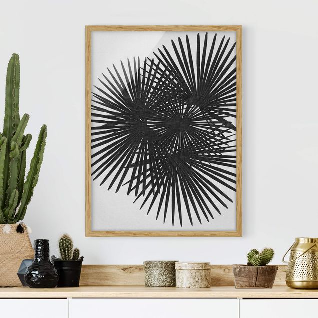 Moderne Bilder mit Rahmen Palmenfarne in Schwarz-Weiß