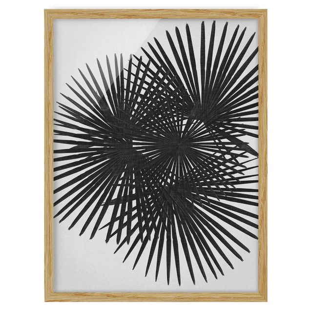 Bild mit Rahmen - Palmenfarne in Schwarz-Weiß - Hochformat