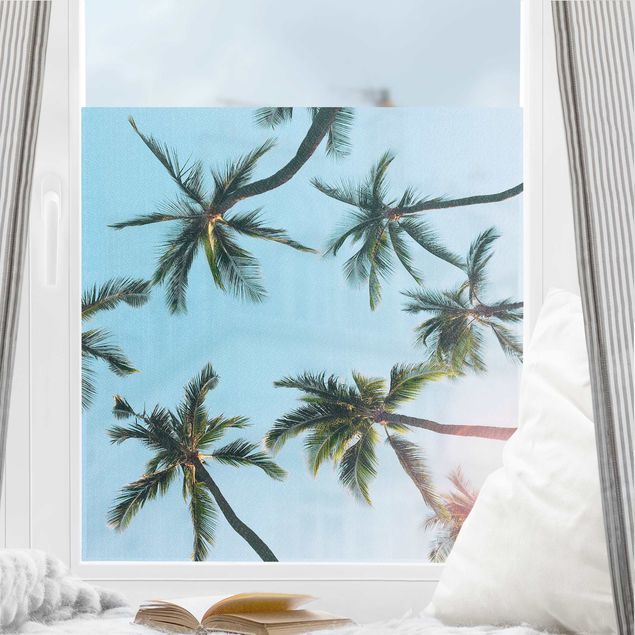 bunte Fensterfolie Palmengiganten im Himmel
