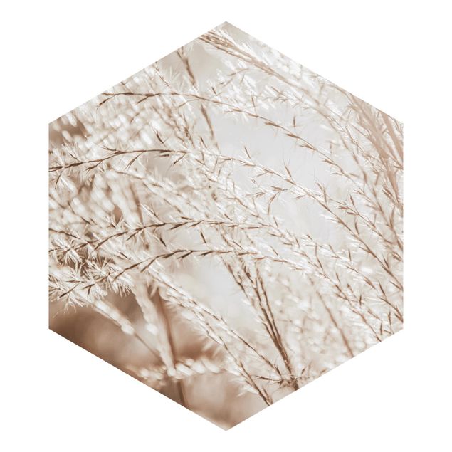 Hexagon Mustertapete selbstklebend - Pampasgras Close Up
