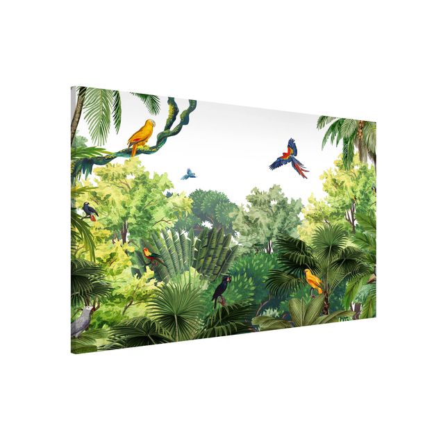 Wandbilder Papageienparade im Dschungel