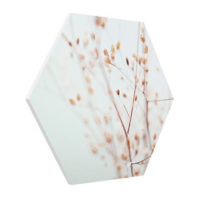 Hexagon Bild Forex - Pastellknospen am Wildblumenzweig